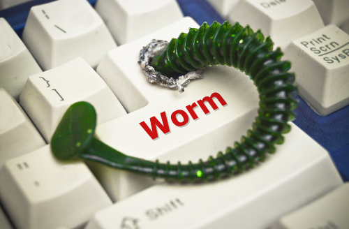 Hundreds Of Windows Networks Have Raspberry Robin Worm